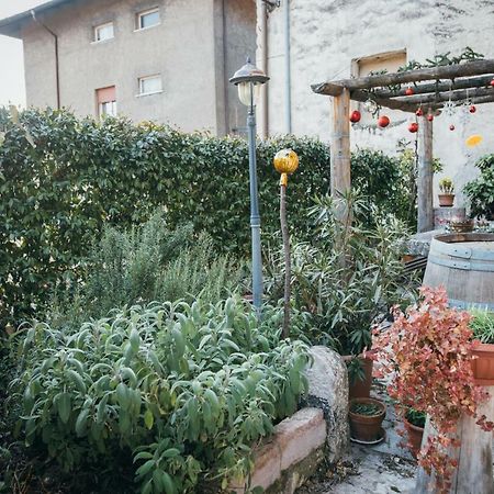 B&B Pedelmont Mezzocorona Extérieur photo